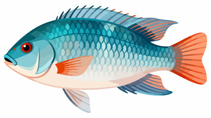Fish illustration vector diagram
