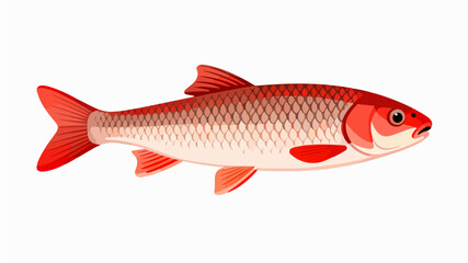Fish illustration vector diagram