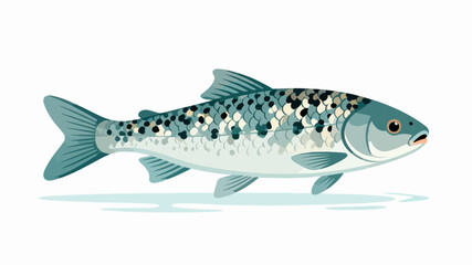 Fish illustration vector diagram