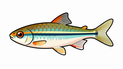 Fish illustration vector diagram