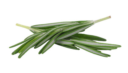 Fototapeta premium Aromatic culinary ingredient of rosemary sprigs, freshly harvested herbs are displayed in a vibrant image, isolated on white