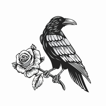 A stylized monochrome raven with detailed feathers perched on and holding a single blooming rose in its talons.