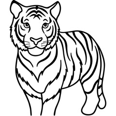 A simple black and white line drawing of a tiger standing on a white background isolated on white background