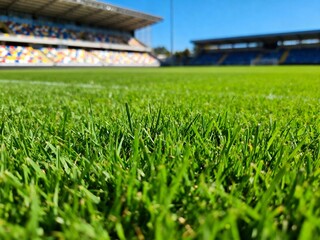 Close up wet grass at the football stadium during sunny summer day. Ai Generative