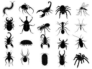 Silhouette of various insects, vector illustration, used for illustration work