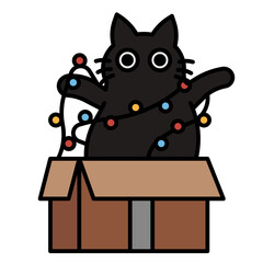 Cat in Christmas box