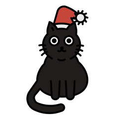 Cat with Christmas hat