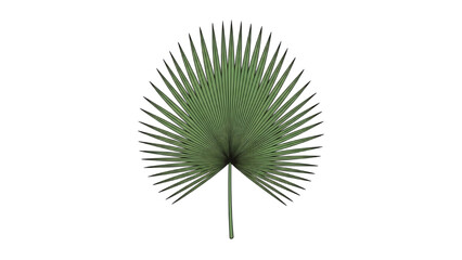 Vibrant green stylized tropical palm leaf illustration, perfect for summer designs and natural themes