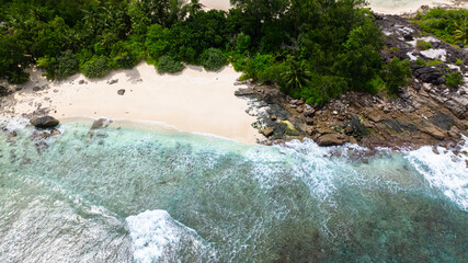 Sandy beach meets dense greenery and tall palm trees. Seychelles, Mahe.
