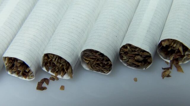 Cigarettes lying in a row, view of the part with tobacco