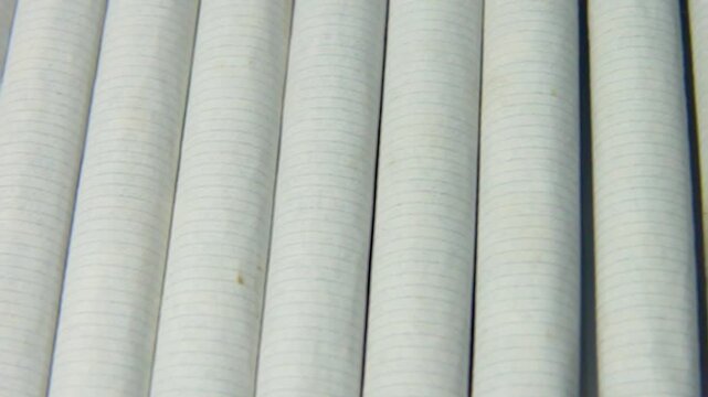 Cigarettes lying in a row, view of the part with tobacco