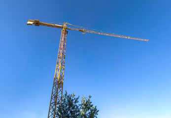 Tall yellow tower crane over clear blue sky, viewed from below featuring tree tops within bright daylight