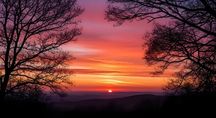 Vibrant sunset through silhouetted trees