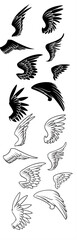 Various Stylized Wings Vector Set: Dynamic Black Silhouettes and Outline Line Art Illustrations of Angel, Bird, and Mythical Feathery Designs