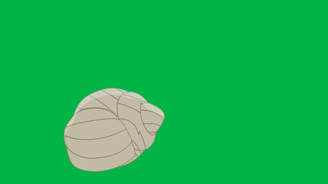 Funny elephant spraying water from trunk on green screen chromakey background. Playful 2D animated cartoon animation great for summer, zoo, kids content, or refreshing water effects.