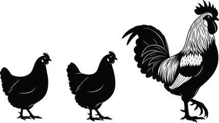 Black Silhouette Vector Set of a Majestic Rooster and Two Hens, Representing Poultry Farm Animals, Ideal for Logo or Farm Product Packaging Design