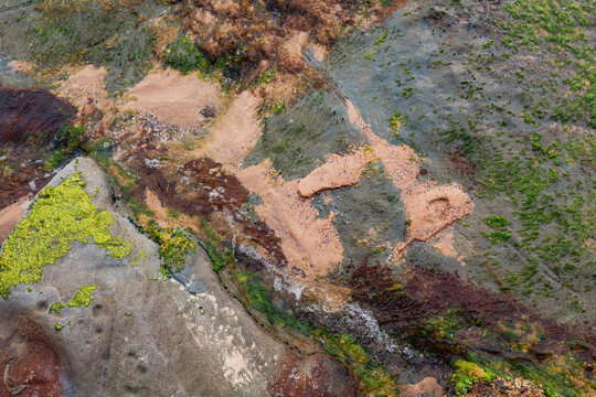 Shells along shoreline with ocean water flowing out of rockpools