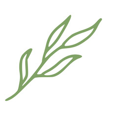 Fototapeta premium green leaf in handdrawn outline