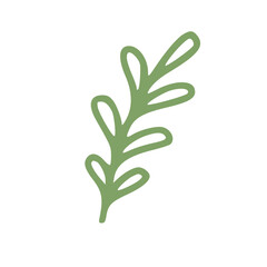 green leaf in handdrawn outline