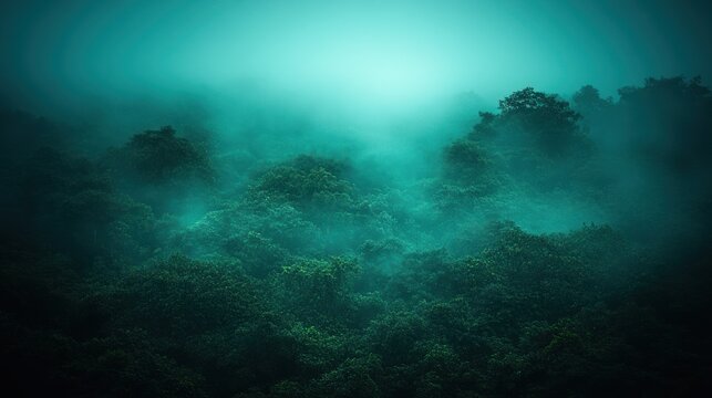 Misty, teal-toned forest canopy