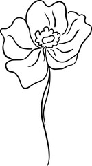 botanical line art