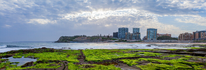 Green seaweed covered rocks by the ocean with view to cliff headland in Newcastle NSW