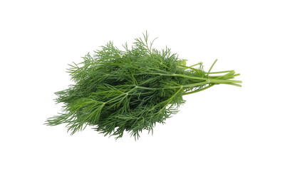 Fresh green dill herb bunch isolated on a transparent background