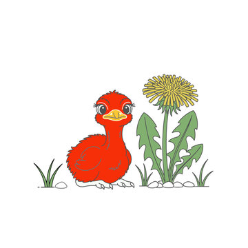 flat, vector, graphic, -style, young, child, ostric, bird, chicken,