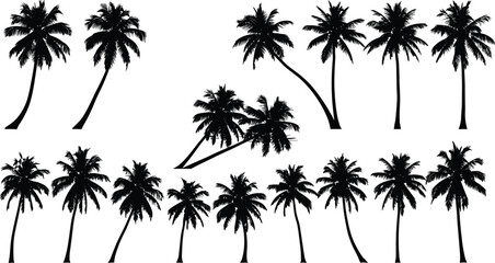 Palm tree silhouette collection, tropical coconut trees vector set, beach summer landscape elements, exotic nature illustration for vacation design