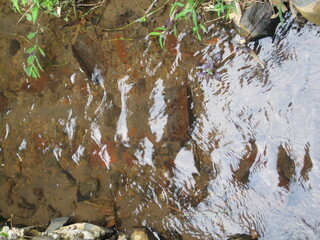 water flowing into the river