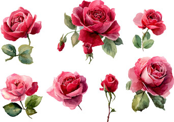 Fototapeta premium bouquet of roses