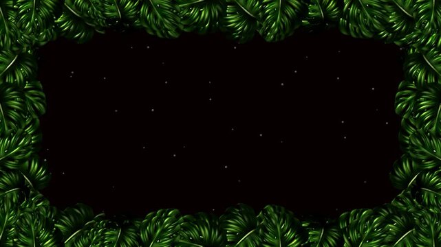 green leaf monstera frame background