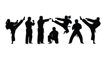 Dynamic martial arts silhouettes isolated on white background, Vector
