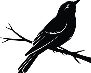 Silhouette of a bird perched on a bare branch