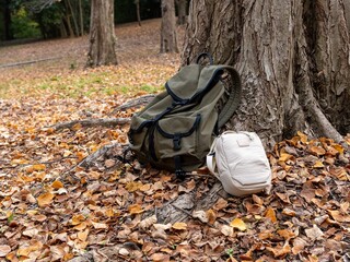 木の根元にあるリュックサックと小さなかばん