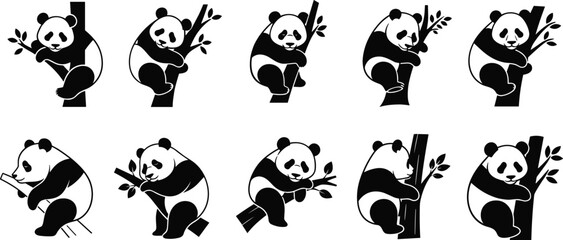 Cute black and white panda bear climbing and sitting on tree branches vector cartoon silhouette icons, endangered animal logo set in simple flat style. © Shariyar Pantho