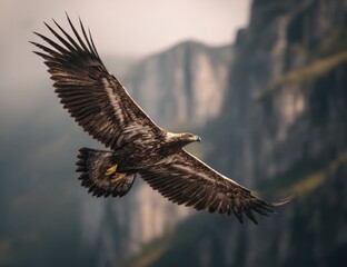 Obraz premium Majestic Eagle Soaring Through Mountainous Landscape with Open Wings.