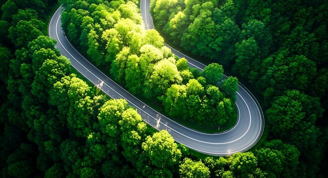 Winding road through a vibrant green forest, symbolizing journey and nature's beauty