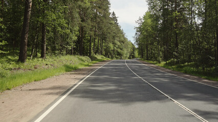 driving plate through forest in sunny summer day