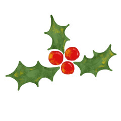 Fototapeta premium Cute red watercolor crayon holly berry plants christmas xmas leaves element clipart sticker png transparent