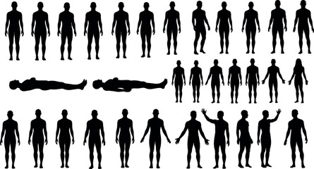 Large set of human silhouettes, men and women standing, walking, lying down, black vector illustration collection, isolated on white background. © Masud World