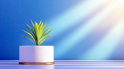 A vibrant green plant in a white pot with a copper accent sits on a reflective surface, bathed in soft sunlight streaming from the upper right.