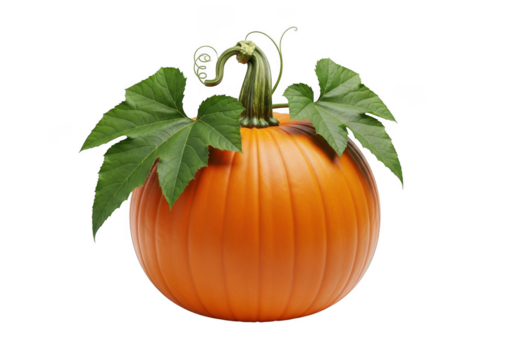 Fresh orange pumpkin vibrant green leaves autumn decor halloween celebrations seasonal harvest transparent background