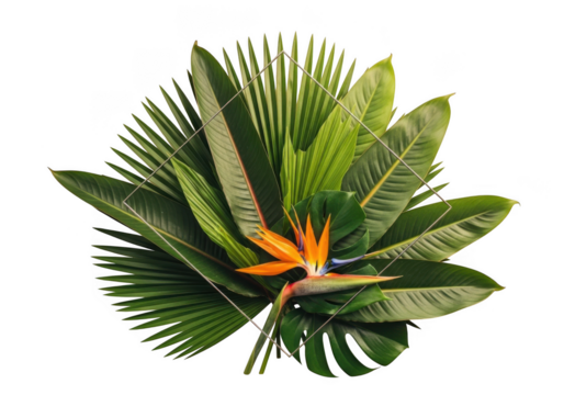 Vibrant tropical leaves and bird of paradise flower arrangement natural botanical beauty transparent background