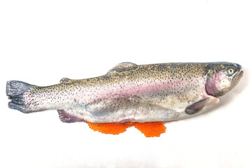 Salmon with salmon roes (red caviar) on a white background