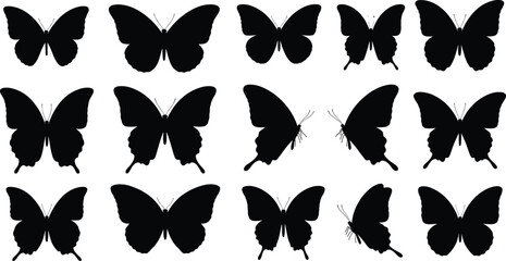 Butterfly silhouettes, insect vector icons, black flying moths, decorative wing shapes, nature insect design, isolated butterflies, bug illustration, wildlife graphic set