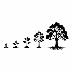 Fototapeta premium A black and white illustration depicting the growth stages of a tree, from seed to maturity.