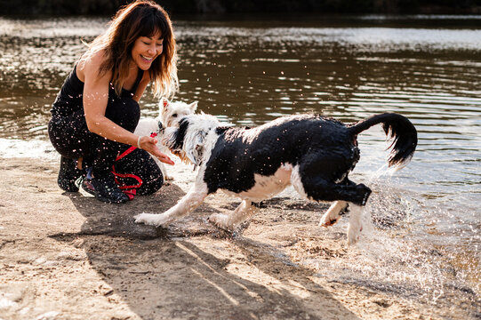 A woman and her border collie splash in the river, enjoying the sunny day together