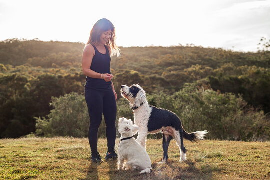A woman engages with two playful dogs in a lush field during sunset.