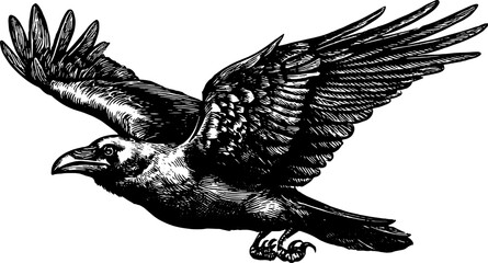 Naklejka premium Raven in flight with wings spread in a detailed ink sketch. Monochrome vector illustration of a bird with realistic feathers and claws.